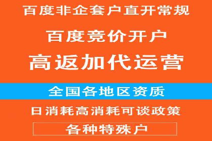 竞价托管成功案例：提升广告投放效果